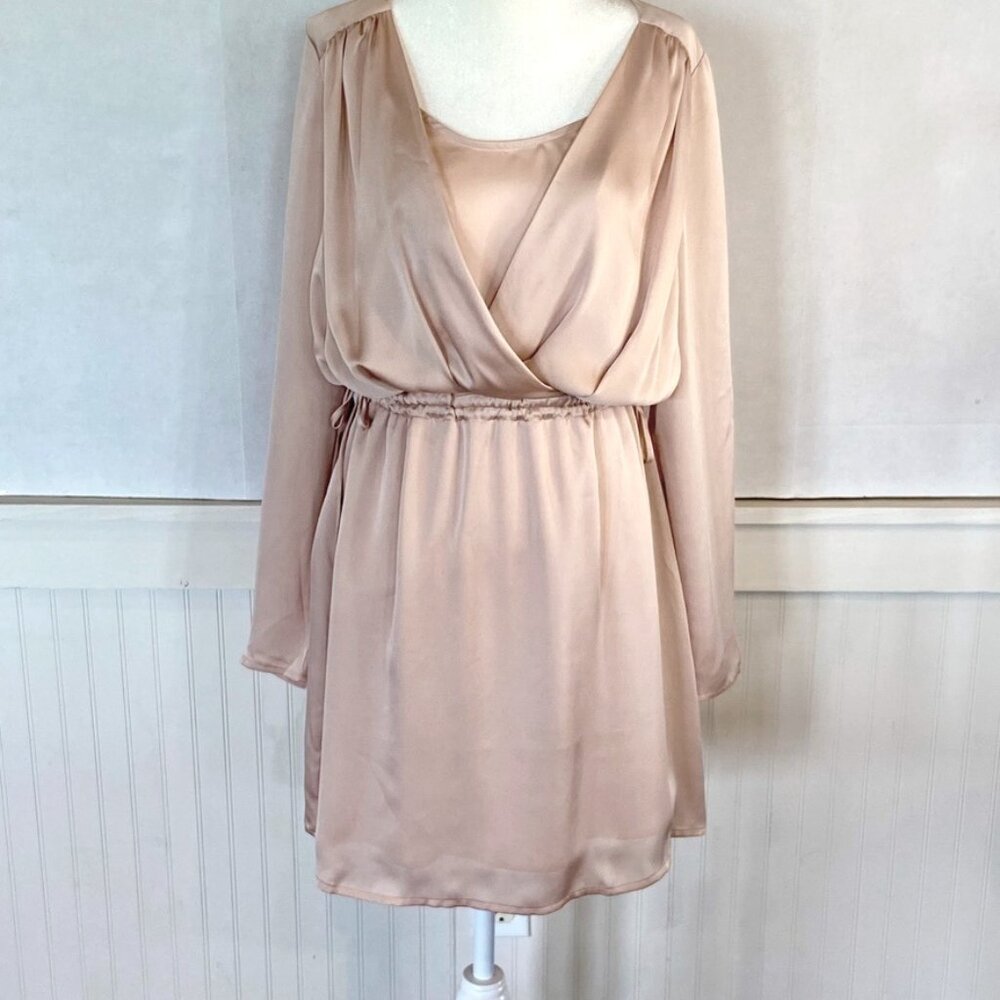 BCBG NWT Pastel Pink Satin dress Sz S